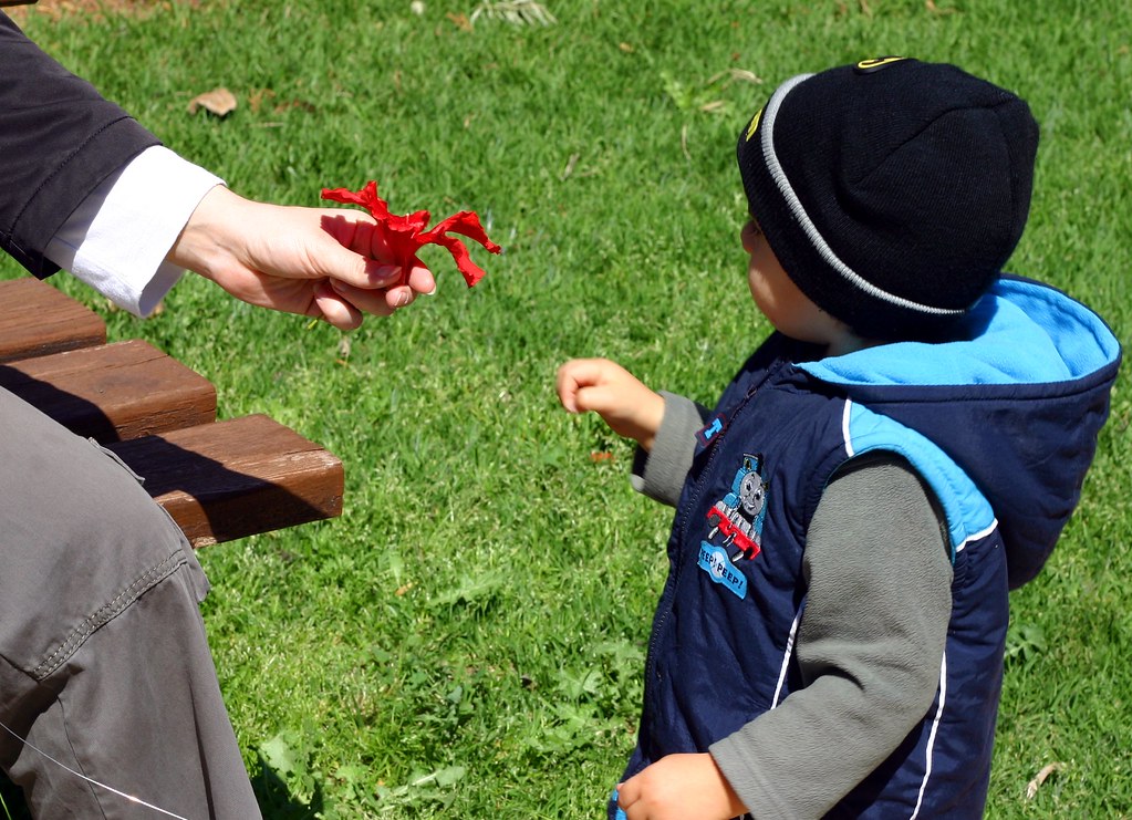 Mengapa Anda Harus Menonton Televisi Bersama Anak-Anak Anda?